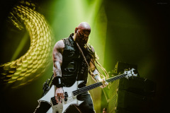 ffdp-110