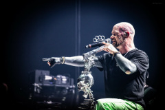 ffdp-12