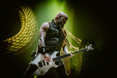 ffdp-13