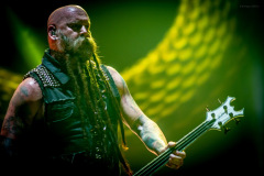 ffdp-136
