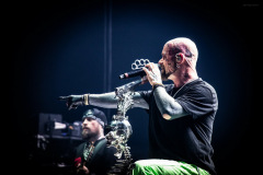 ffdp-181