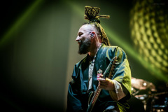 ffdp-31