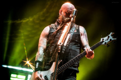 ffdp-49