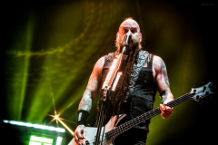 ffdp-50