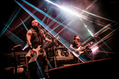 ffdp-6