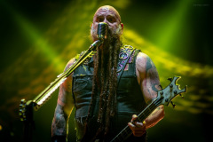 ffdp