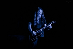 primodial-22