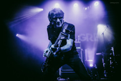 grey_attack-16