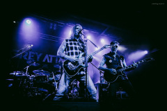 grey_attack-44