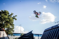 show