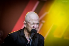 danko-134