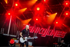 danko-66