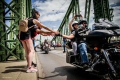 hd120_felvonulas-4