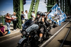 hd120_felvonulas-54