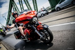 hd120_felvonulas-78