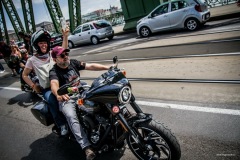 hd120_felvonulas-83