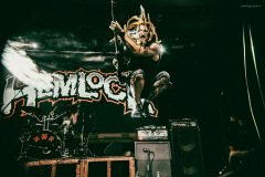 hemlock-11