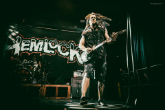 hemlock-22