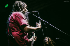 hemlock-37