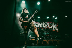 hemlock-44