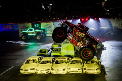 hotwheels-101