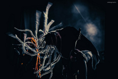 infected-102