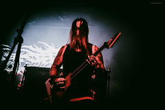 ingested-11