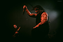 ingested-12