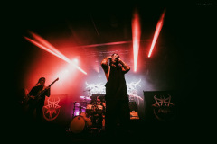 ingested-13