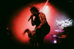 ingested-14