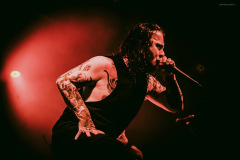 ingested-20