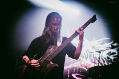 ingested-30