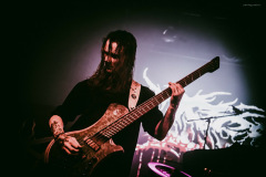 ingested-31