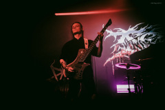 ingested-33