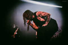 ingested-7