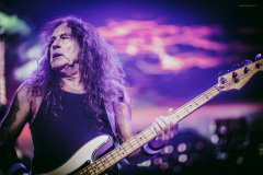 maiden-103