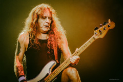 maiden-55