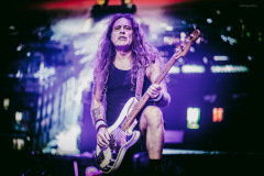 maiden-83