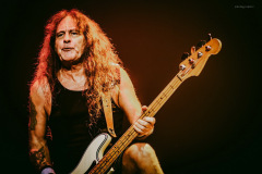 maiden-94