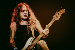 maiden-95