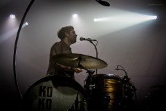kokomo-50