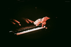 einaudi-12