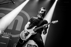 mammoth-30