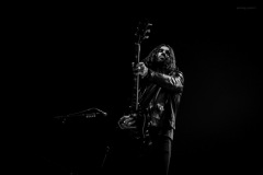 mammoth-50