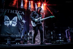 mothica-34