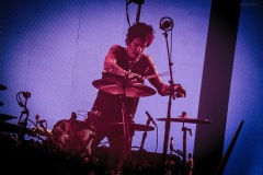 motley-102