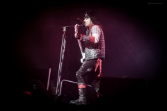 motley-30
