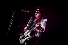 motley-40
