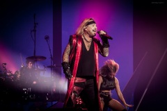 motley-41