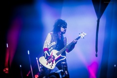 motley-64